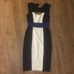 BCBG Maxazria dress